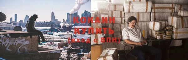 молекула духа Каменногорск