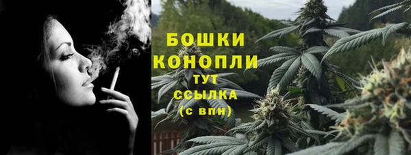 ПСИЛОЦИБИНОВЫЕ ГРИБЫ Каменка