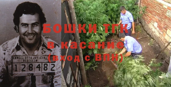 ПСИЛОЦИБИНОВЫЕ ГРИБЫ Каменка