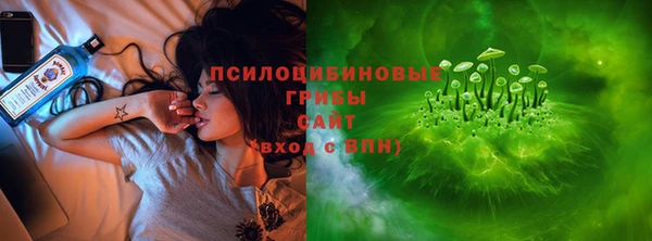 молекула духа Каменногорск