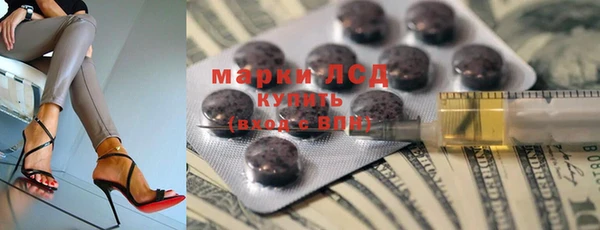 молекула духа Каменногорск