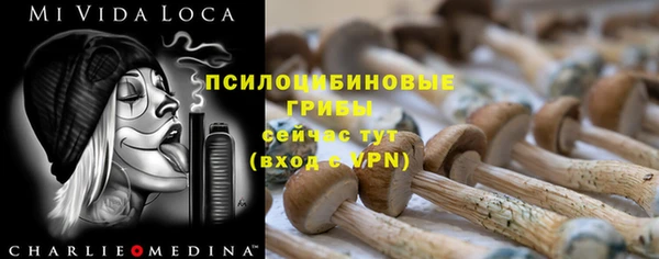 ПСИЛОЦИБИНОВЫЕ ГРИБЫ Каменка