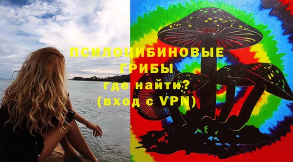 молекула духа Каменногорск
