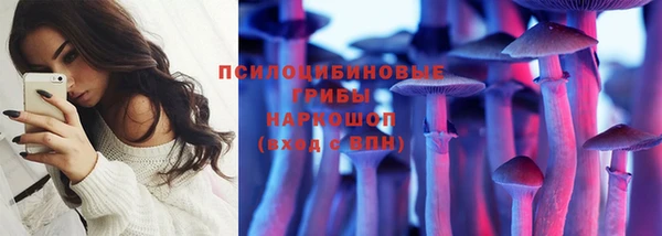 ПСИЛОЦИБИНОВЫЕ ГРИБЫ Каменка
