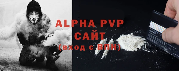 молекула духа Каменногорск