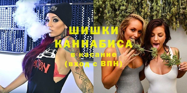 ПСИЛОЦИБИНОВЫЕ ГРИБЫ Каменка