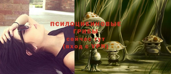 молекула духа Каменногорск