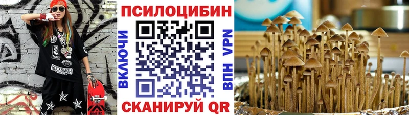 Галлюциногенные грибы Cubensis  Купить  Дно 